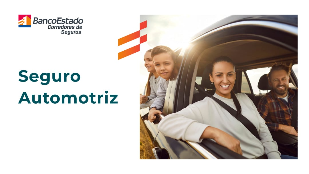 Bases de promoción