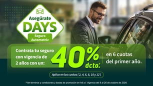 Bases de campaña