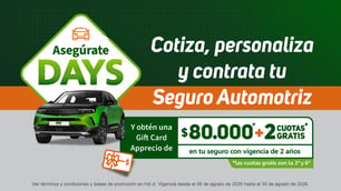 Bases de campaña