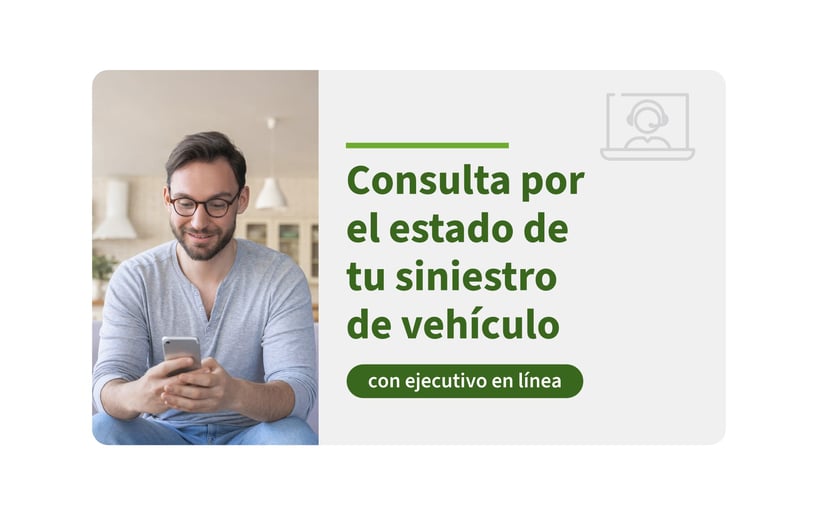 Estado Siniestro de vehículo